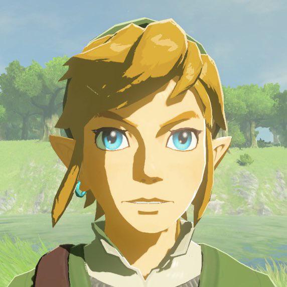 Link portrait